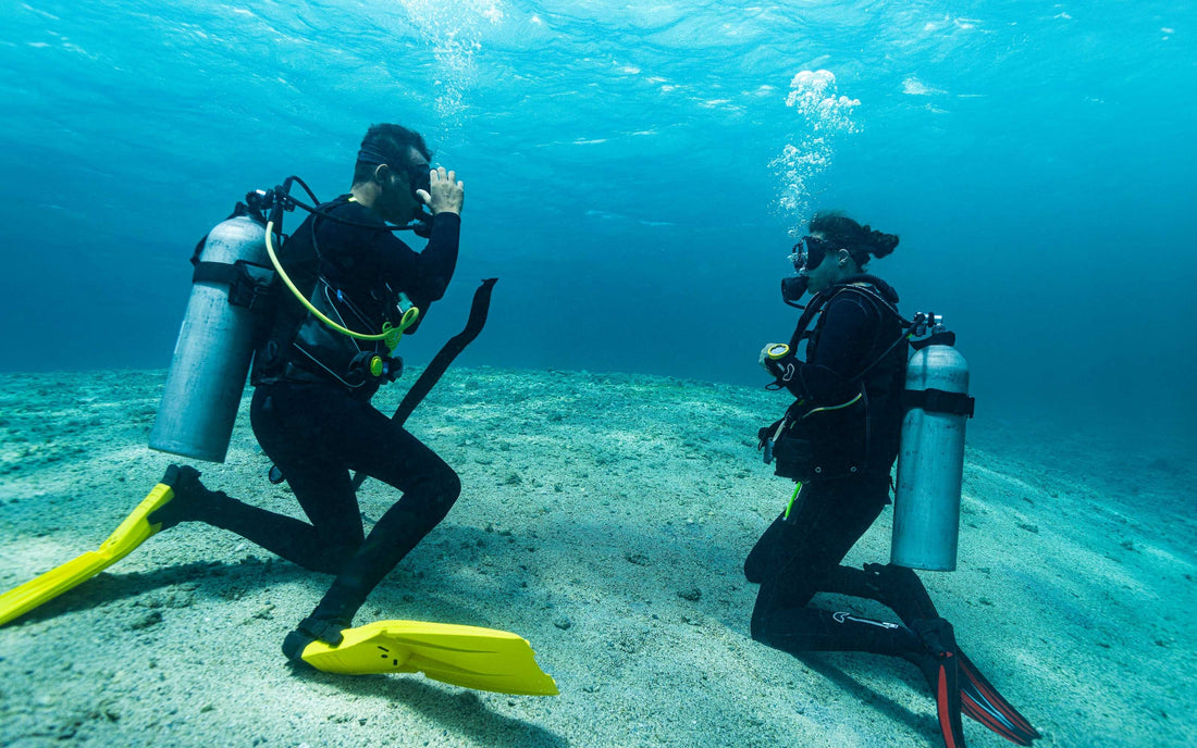 PADI vs SSI vs NAUI: Which Scuba Certification Should You Choose?