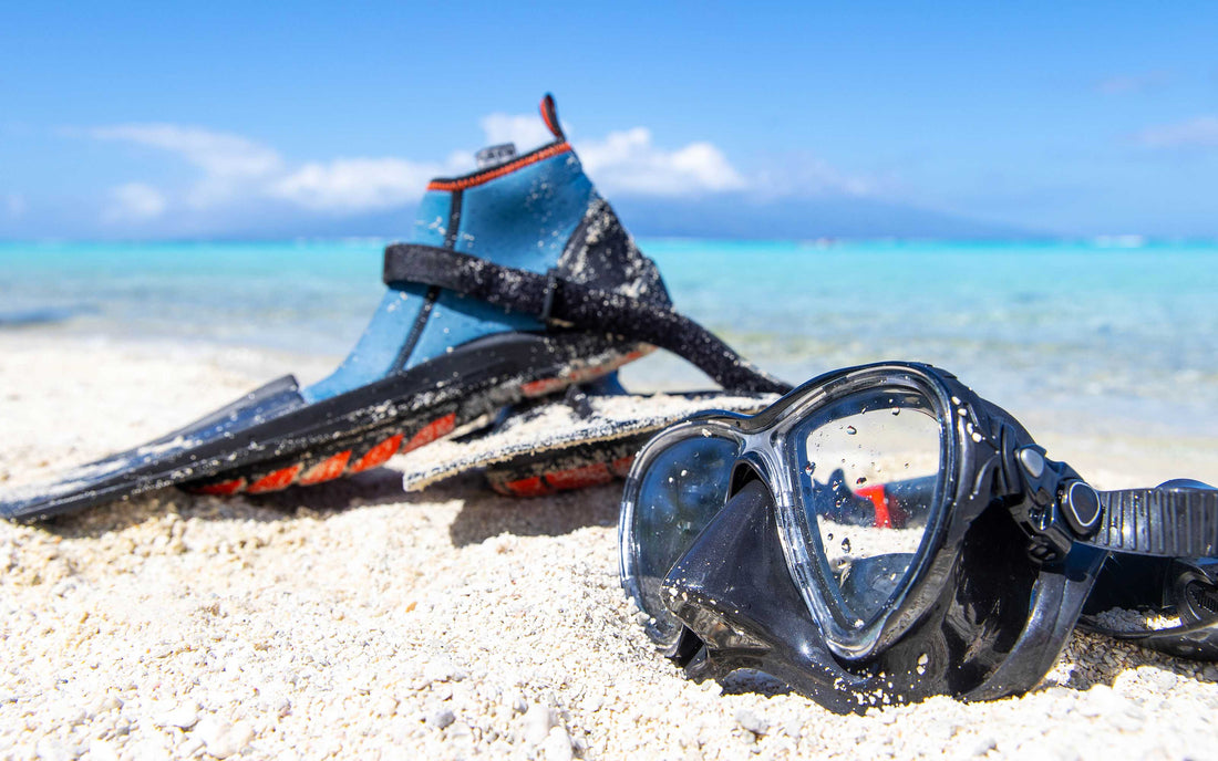 What Should You Look for in the Best Scuba Gear Shop?