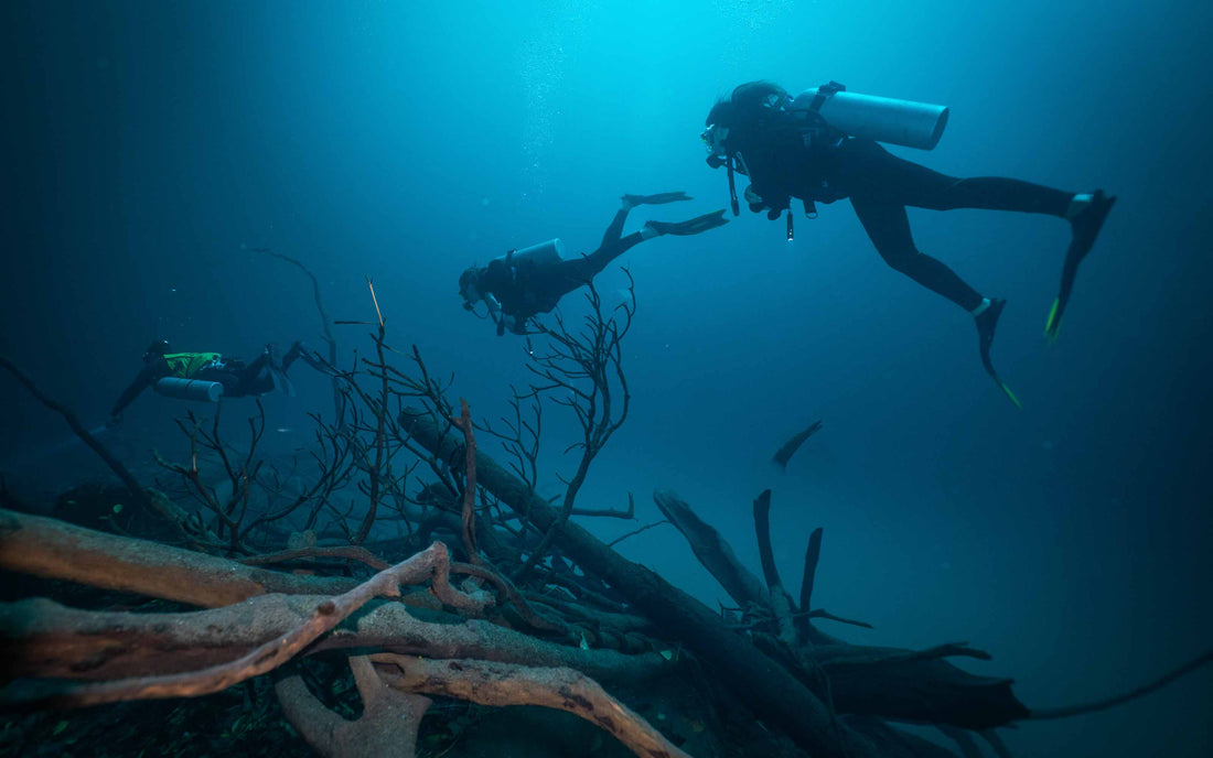 Cold Water Diving 101: Gear and Mindset for the Pacific Northwest