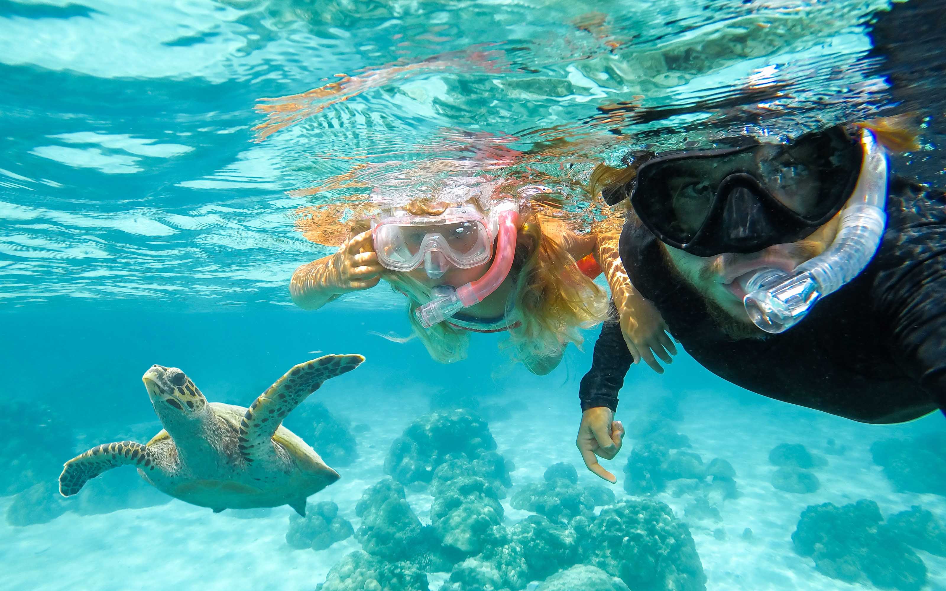 The Top 5 Features to Look for in Quality Snorkeling Gear