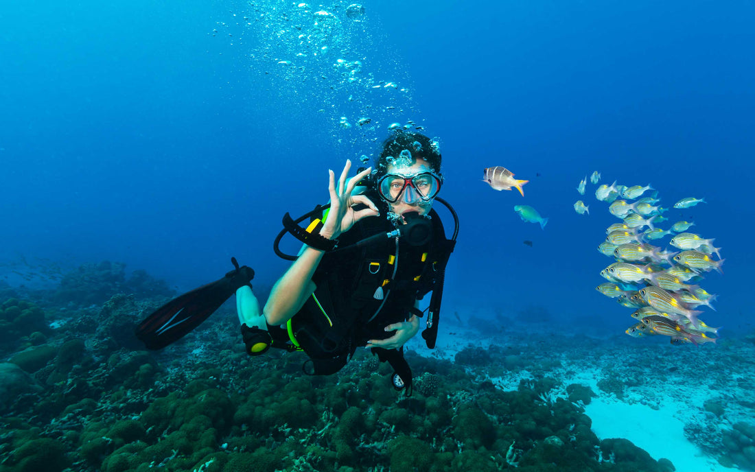 Is Scuba Certification Worth It?