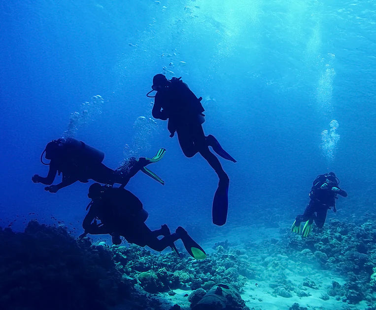 OPEN WATER DIVER
CERTIFICATION