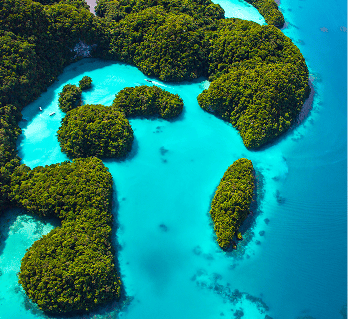Palau Dive Trip 2026 - Deposit