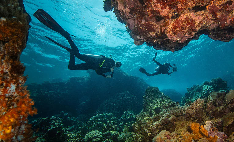 SSI Open Water Diver Certification
