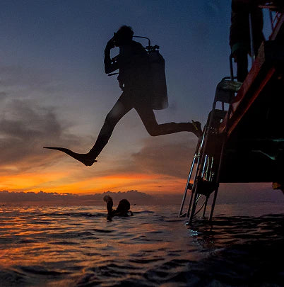 Scuba Skills Update