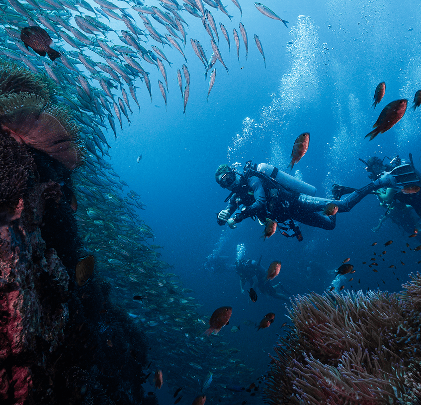 Specialty 
Diver 
Bundle 