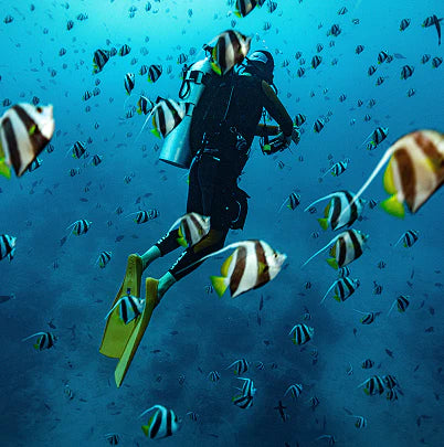 IDEA Advanced Open Water Diver Bundle