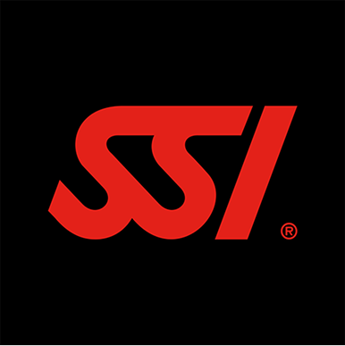 SSI Logo
