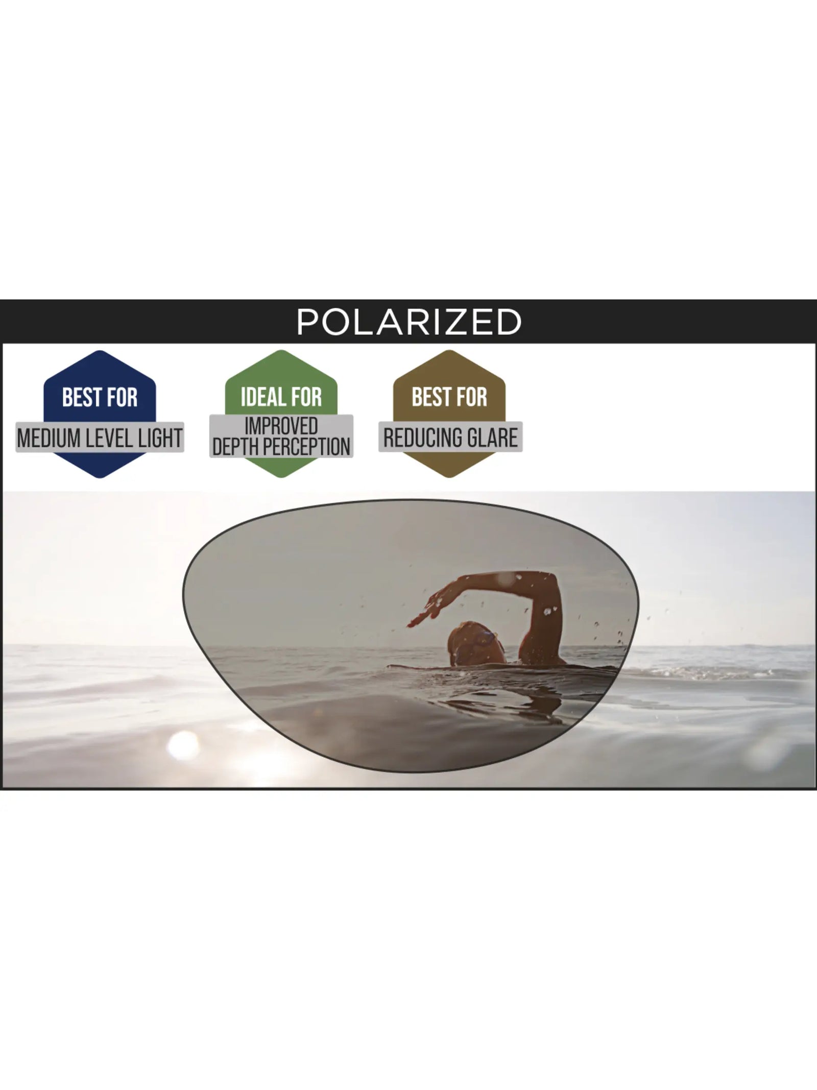 Zoggs Predator Polarized Goggles Product Photo