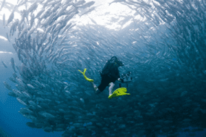 Jeff Powelson filming underwater