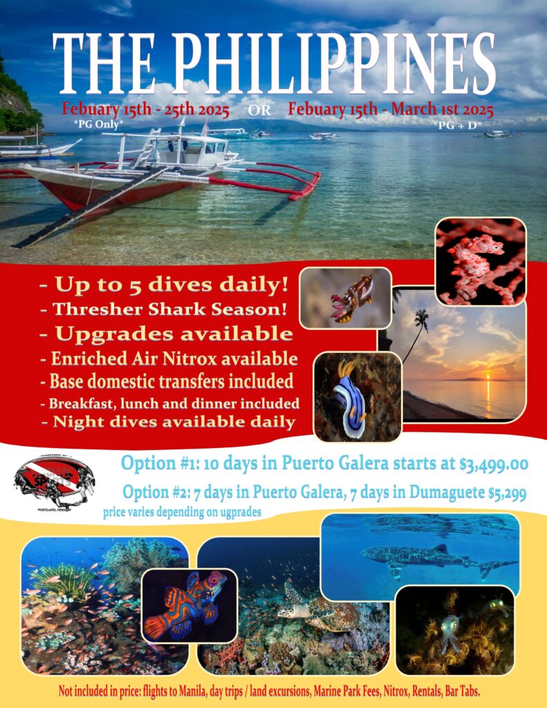 The Philippines 2024 - flyer HI REZ